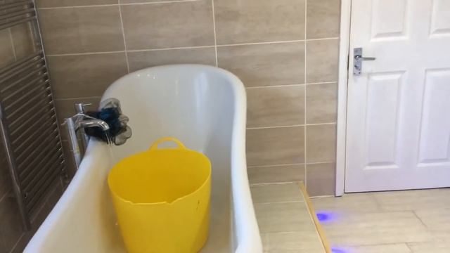 Pet monkey Daily Routine | food prep ,clean cage ,bath, and more смотреть онлайн