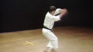 Хироказу Канадзава. 26 Ката. Сётокан Каратэ