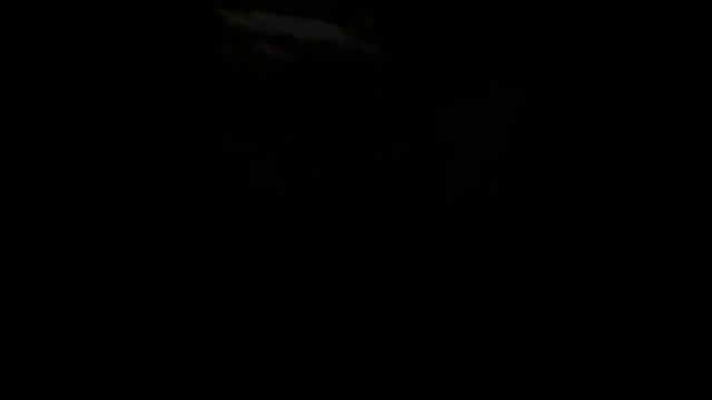 Estranged: Act II Steam Early Access Teaser смотреть онлайн