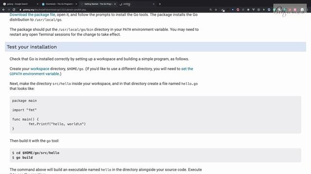 2 Install GoLang on MacOS | GoLang Beginner Course смотреть онлайн