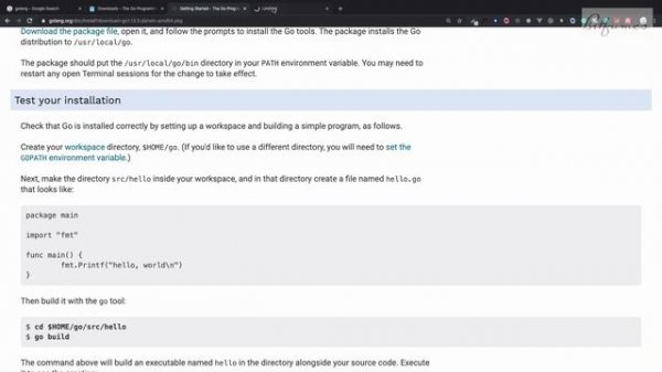 2  Install GoLang on MacOS | GoLang Beginner Course