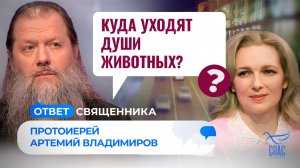 КУДА УХОДЯТ ДУШИ ЖИВОТНЫХ? / ОТВЕТ СВЯЩЕННИКА