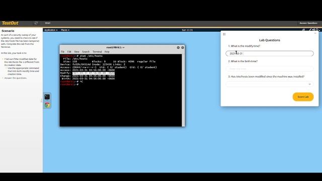2.9.9 Use stat смотреть онлайн