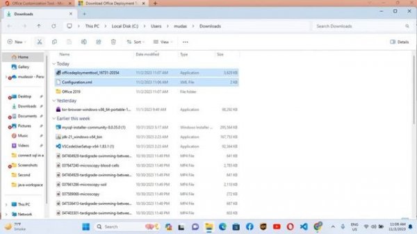 how to download microsoft project 2019 for free windows 11| ms project download
