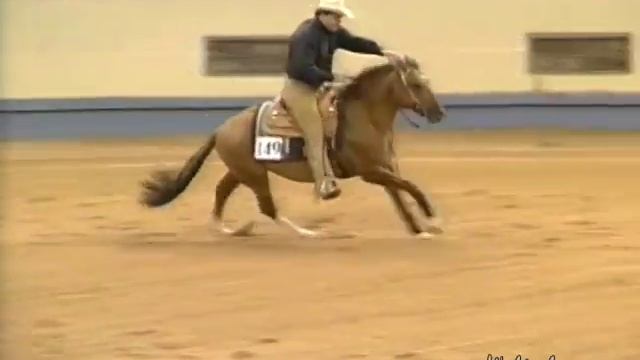 A LITTLE SHADY JAC 1991 NRHA Open Finals смотреть онлайн
