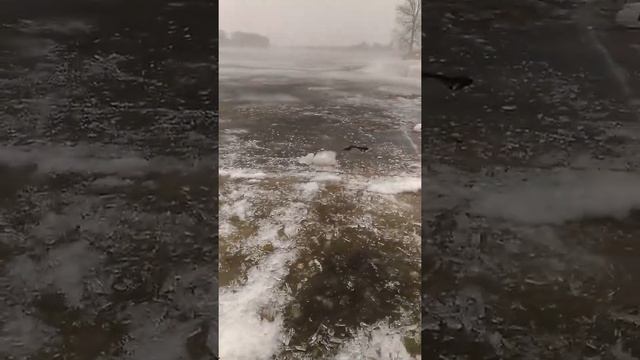 Провал нивы. Последняя рыбалка смотреть онлайн