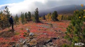 Охотимся с ДТК от BRT