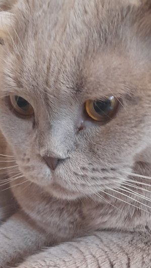 Идём работать😎