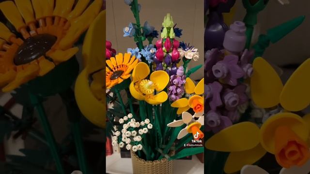 My Girlfriend and I Got Each Other LEGO Flowers for Valentine’s Day! смотреть онлайн