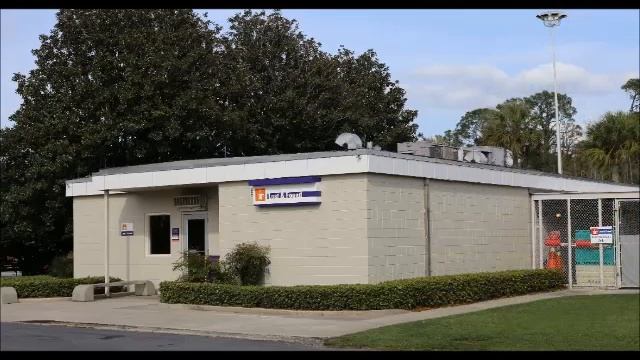 ☎️❓⏰Walt Disney World's Lost and Found With Alan Lubeski⏰❓☎️ смотреть онлайн