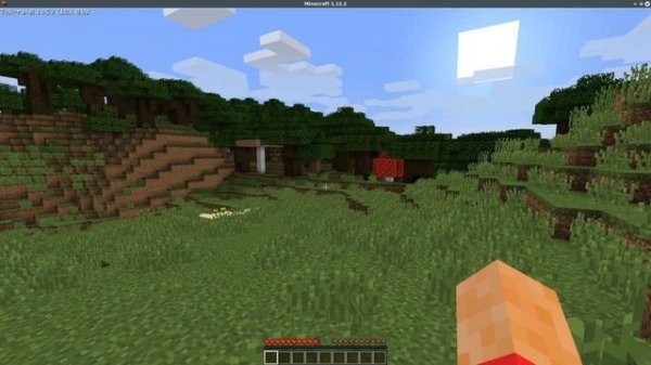 How to: Install ForgeHax under Linux (and Windows)