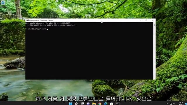 Windows 11/10의 Microsoft Store 오류 코드 0x80073D0D 수정