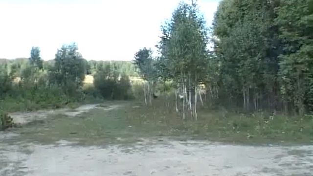 Опасайтесь мышей смотреть онлайн