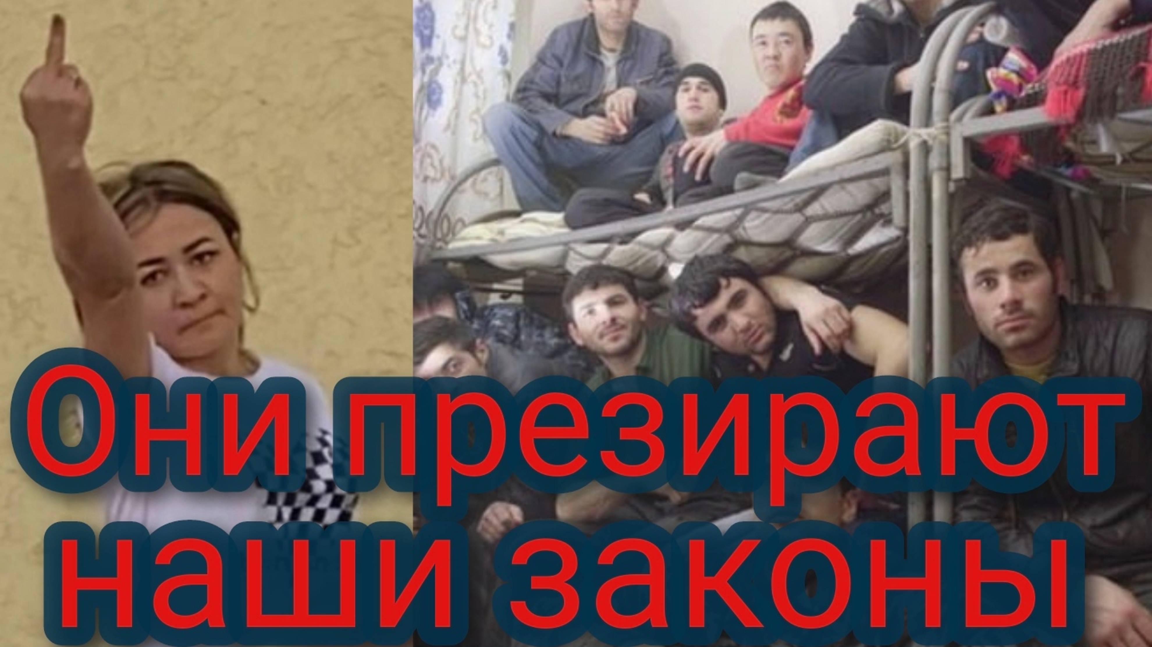 Они презирают наши законы смотреть онлайн