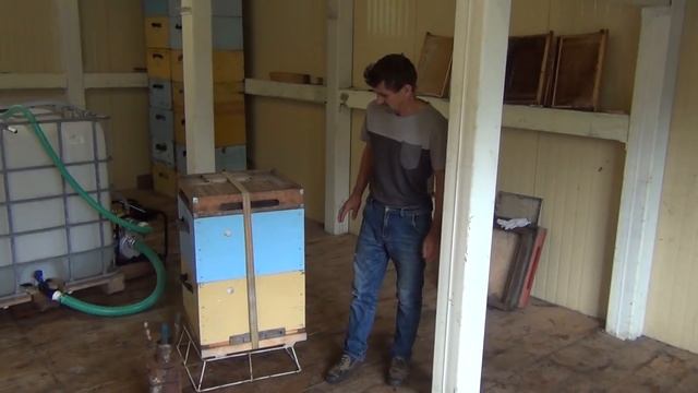 500+ Про систему Рута, инвентарь и другое. смотреть онлайн