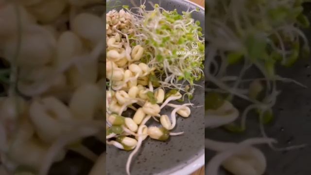 проращивание это жизнь, это красиво и очень вкусно смотреть онлайн