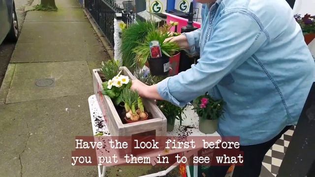 Mudlets Episode 6 - Window Box Planters смотреть онлайн