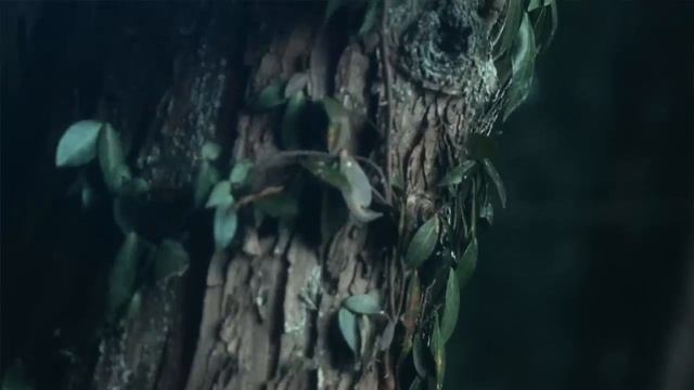 【女性が歌う】廻廻奇譚 _ Eve (バラードver.) Covered By コバソロ & 由 -iu-