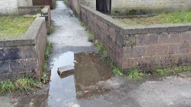 FL2ORG Trip To Imber Village. смотреть онлайн