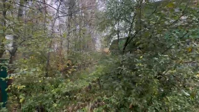 Зу: 2256 Солнечногорск ЦМИС смотреть онлайн