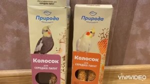 Зерновой рацион питания моего попугая кореллы!