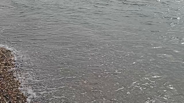 10.Снова на зиму в Абхазию, день десятый, 16.10.2024. Сенокос, художественный салон и груши смотреть онлайн