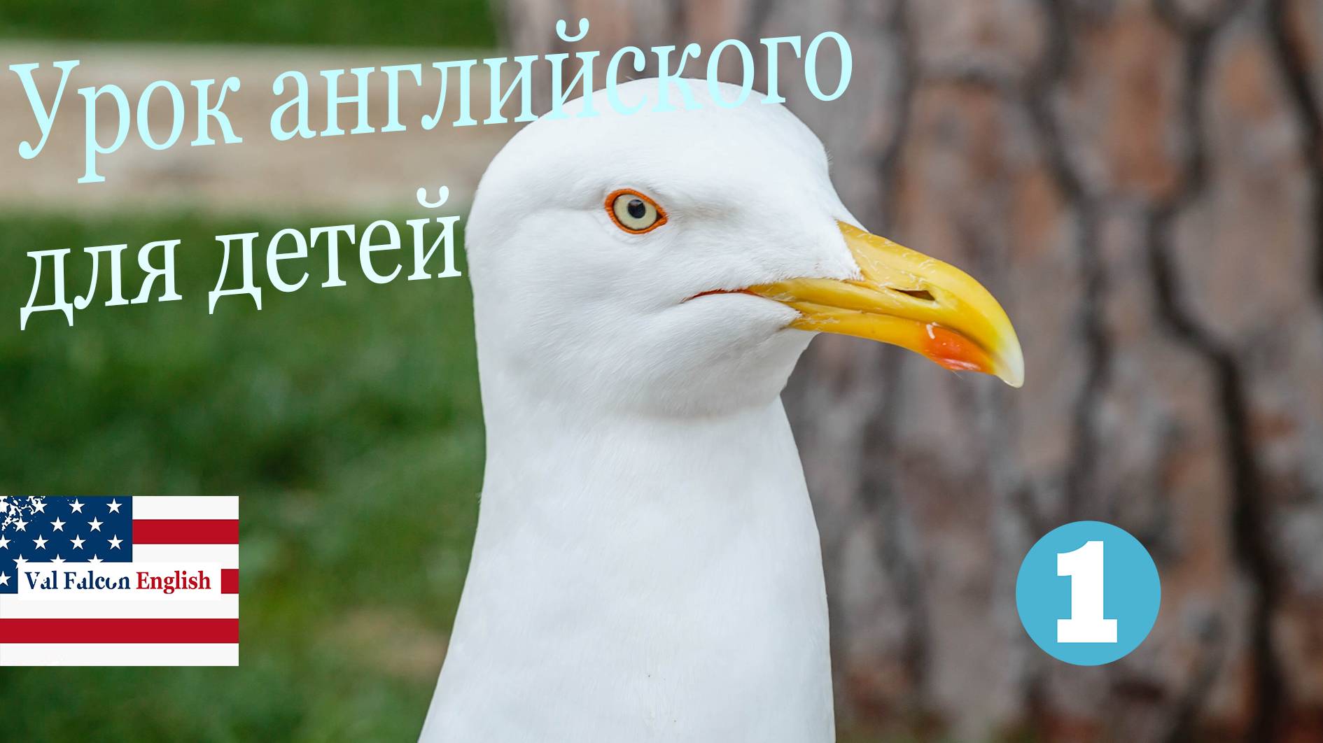 Урок английского для детей - English Lesson For Kids