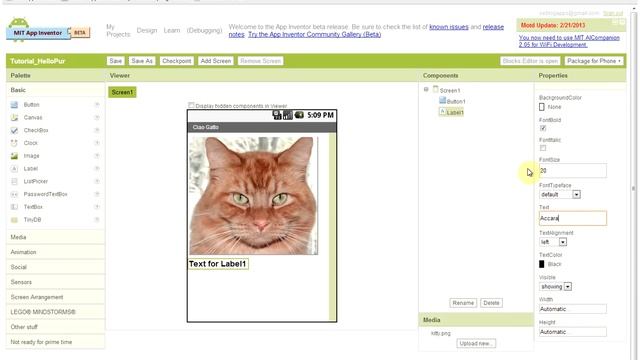 Tutorial - Installazione App Inventor per la creazione di applicazioni Android (Windows 7) смотреть онлайн