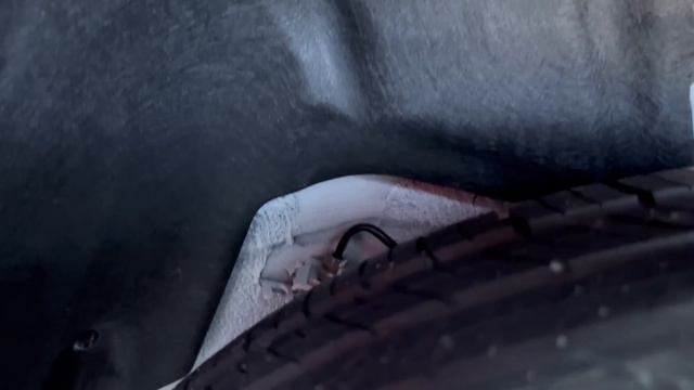 ШКОДЫ В НАЛИЧИИ! КОНЕЦ МАРТА 2024! смотреть онлайн