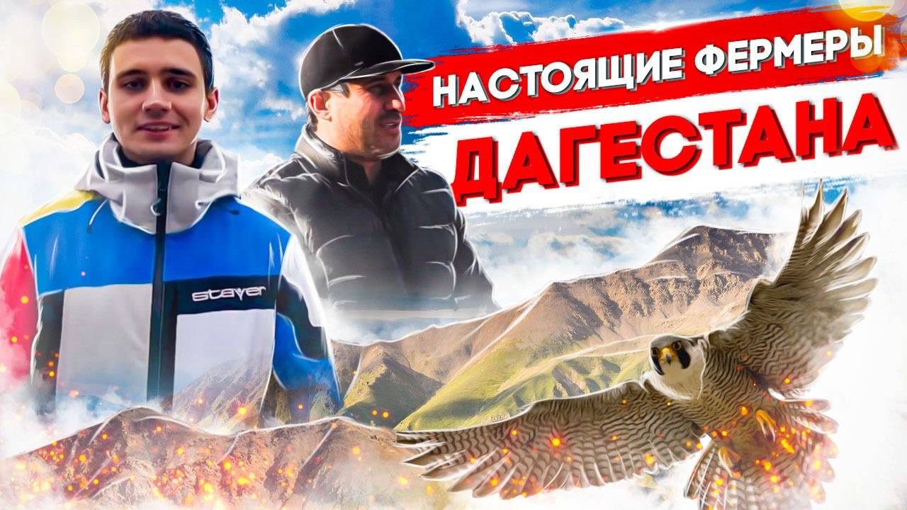 Настоящие Фермеры Дагестана! Главрыба / Честность, / Преданность / Дагестанский Рис / Добрые сердца! смотреть онлайн