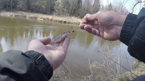 Рыбалка на боковой кивок. Открытие жидкой воды. Голавль и пескарь.