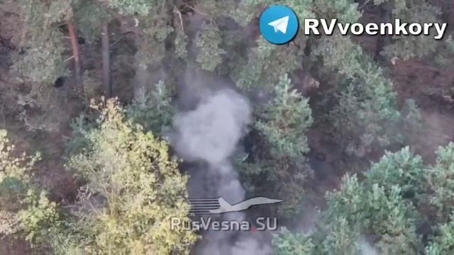 ⚡️СВО 18+ Спецназ продолжает охотиться за боевиками и машинами ВСУ в Курской области смотреть онлайн