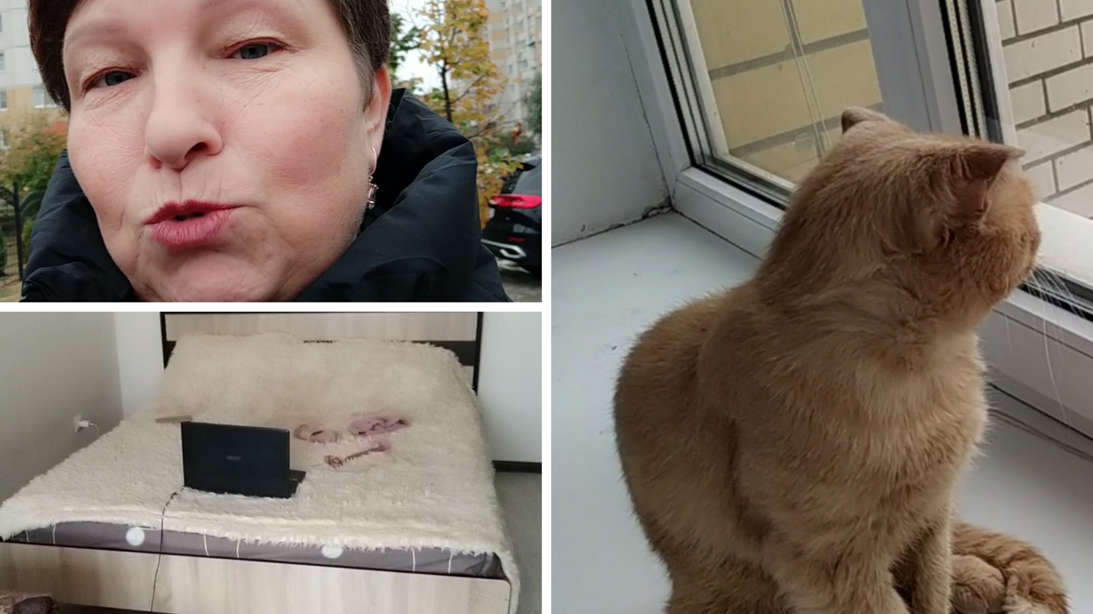 #обо_всем /персик /кровать /УЗИ /и радость и огорчение смотреть онлайн