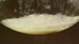 Органическая химия. Омыление жиров