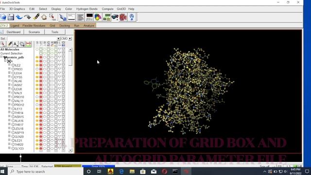 Tutorial for Molecular Docking using Autodock 4.2.6 (Windows) смотреть онлайн