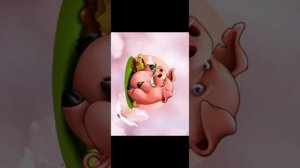 ￼ Песня зелёные ботинки￼￼