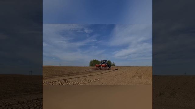 Начало посева зерновых яровых культур смотреть онлайн