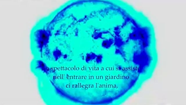 "Trilogia degli Infiniti Mondi", online l'opera\video in tre movimenti di Cossia Di Florio Veno смотреть онлайн