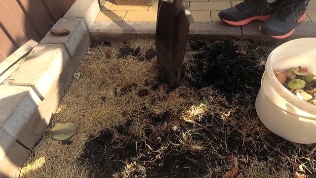 Компостировать фрукты и овощи: что можно а что нельзя смотреть онлайн