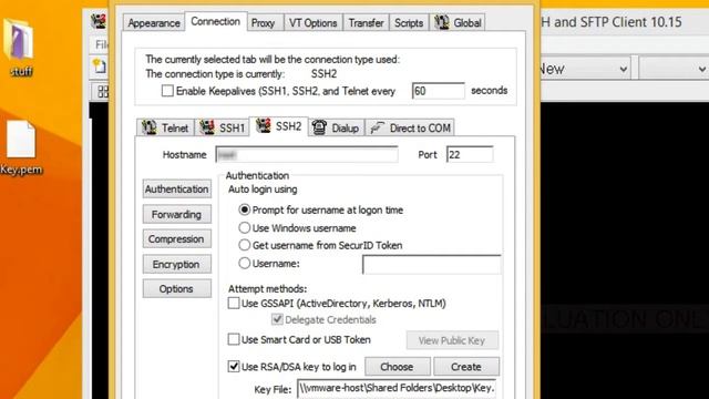 Absolute Telnet Using Amazon AWS .pem key смотреть онлайн