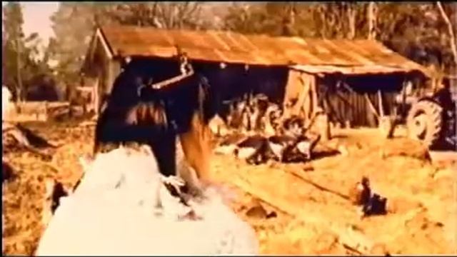 Windows 2000 Commercial.wmv смотреть онлайн