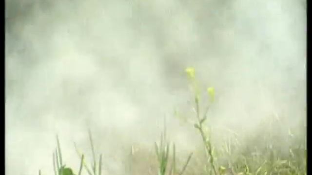 Ударная сила, БРОНИРОВАННЫЙ КУЛАК смотреть онлайн