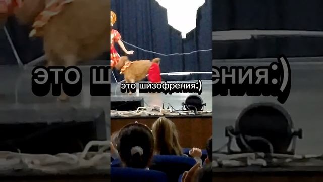 :( смотреть онлайн