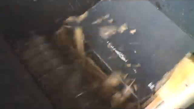 drobilkaCASTOR600durvo.wmv смотреть онлайн