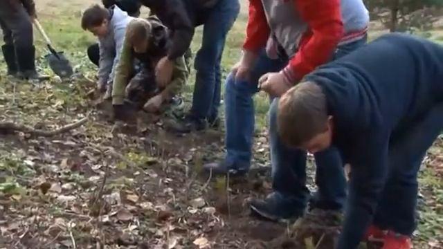 На новом братском захоронении школьники Лесогорской школы посадили деревья смотреть онлайн