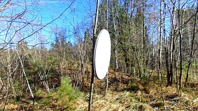 100_0044 смотреть онлайн