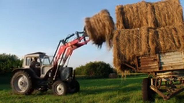 Дорогой, но очень хороший КУН. смотреть онлайн