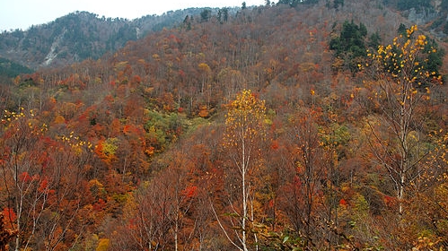 Осень 🍁 пришла смотреть онлайн