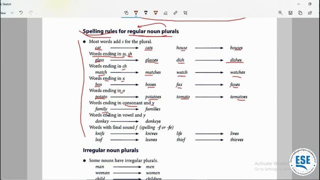 មេរៀនទី43៖ Plural Nouns [Elementary Language Practice] смотреть онлайн