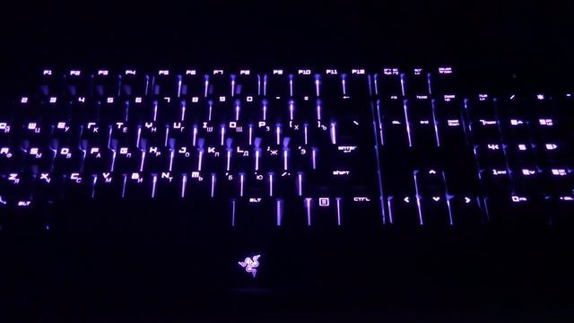 Razer Blackwidow Ultimate Chroma анимация 3 смотреть онлайн